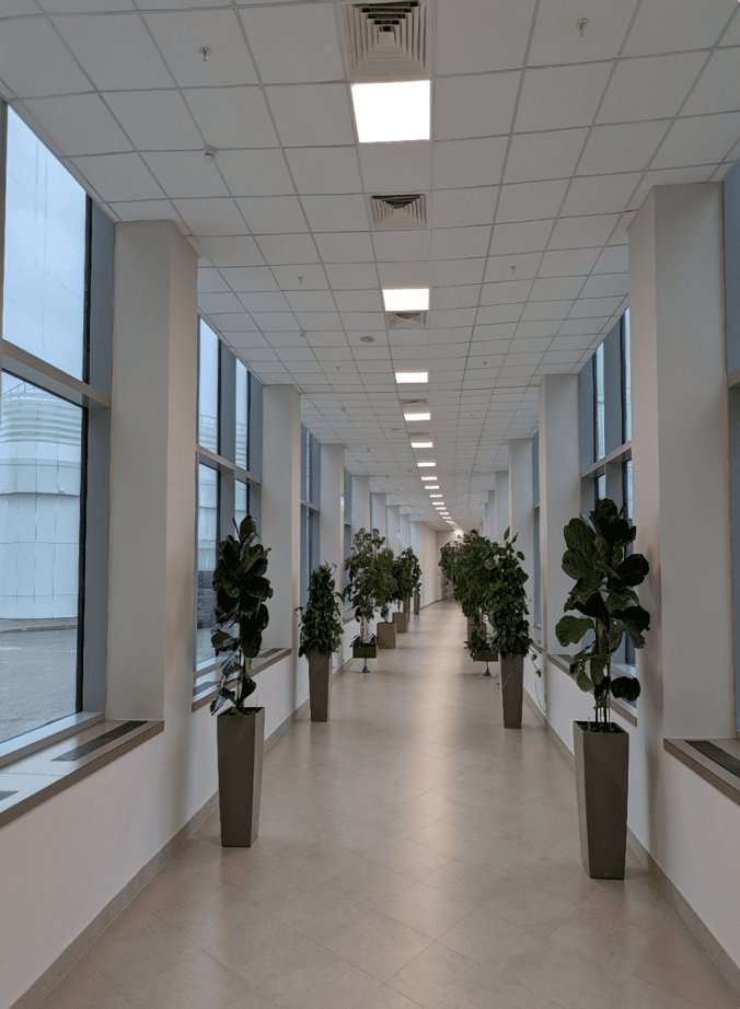 ММЦ Клиника Белоостров